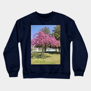 Cherry Blossom Spring Crewneck Sweatshirt